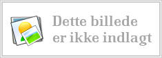 Dette billede er ikke indlagt.png